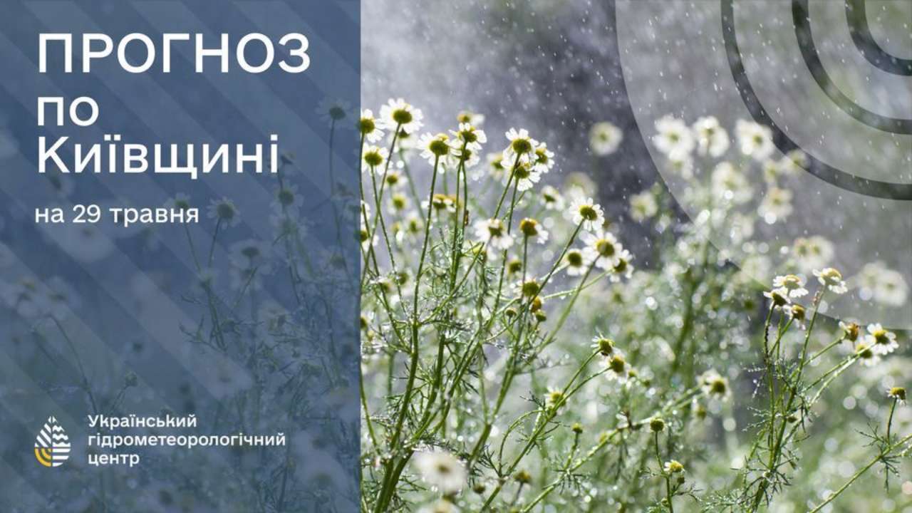 Огляд по гідропостах на річках Київщини на ранок 29 травня