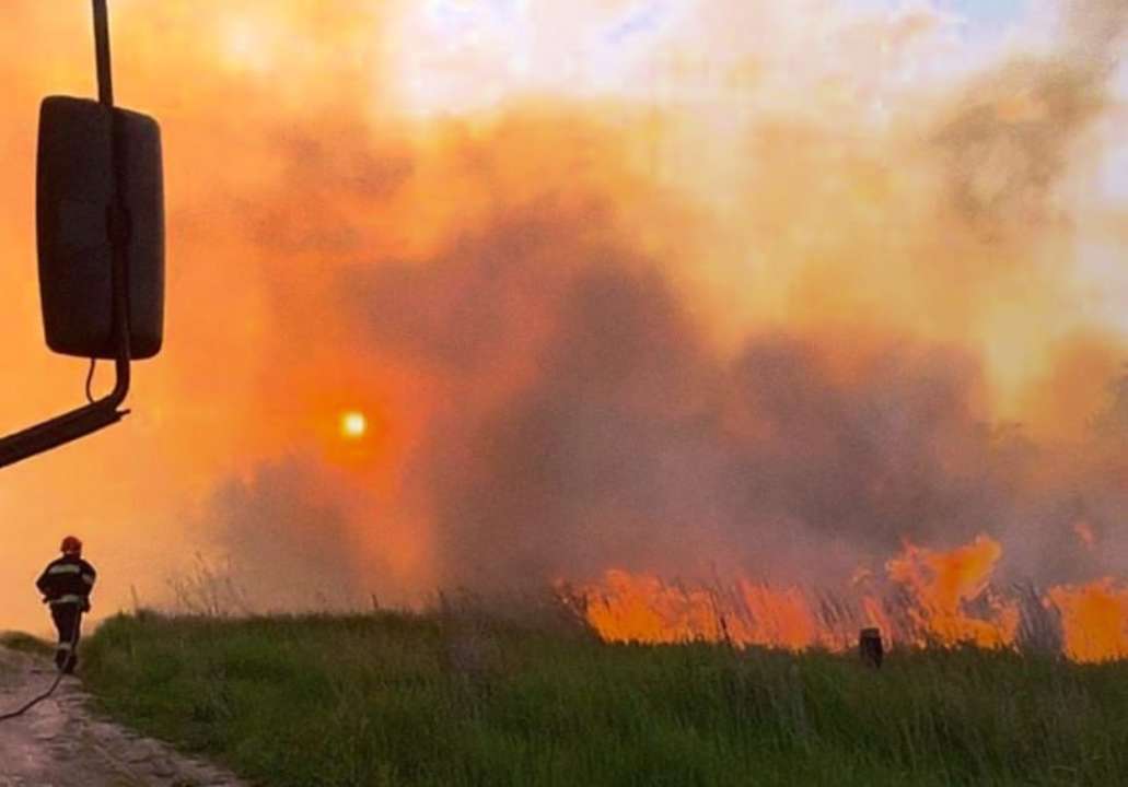 Під час пожежі в Чернігівській області загинула людина / Фото: t.me/dsns_telegram